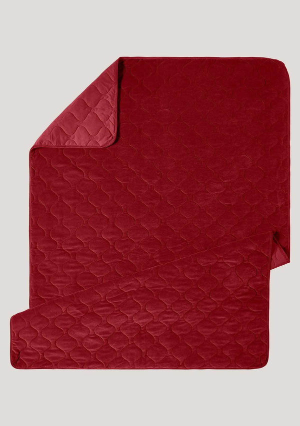 Quilted velour blanket